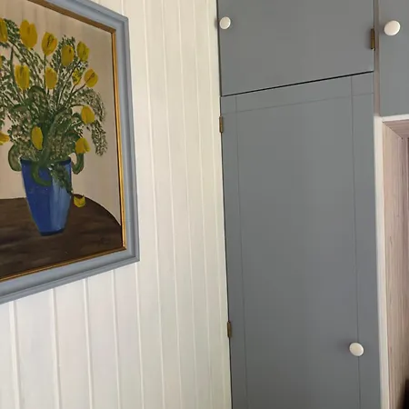 Det Bla Hjem *