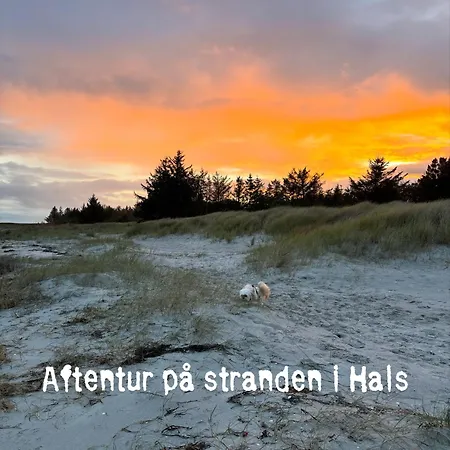 Det Bla Hjem * Hou (Nordjylland)