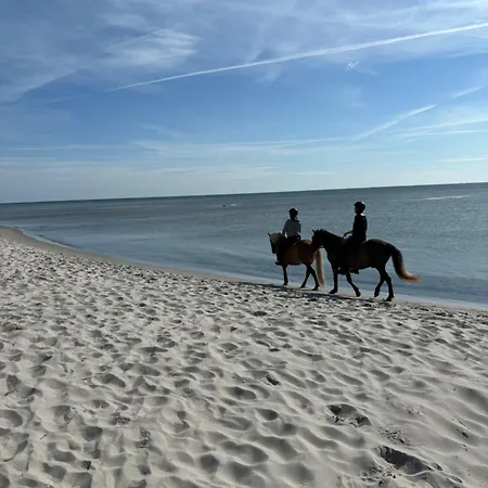Hébergement de vacances Det Bla Hjem