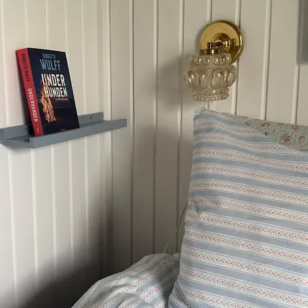 Det Bla Hjem *