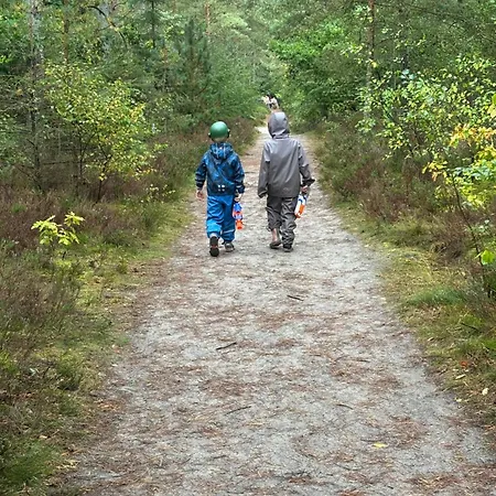 Det Bla Hjem *